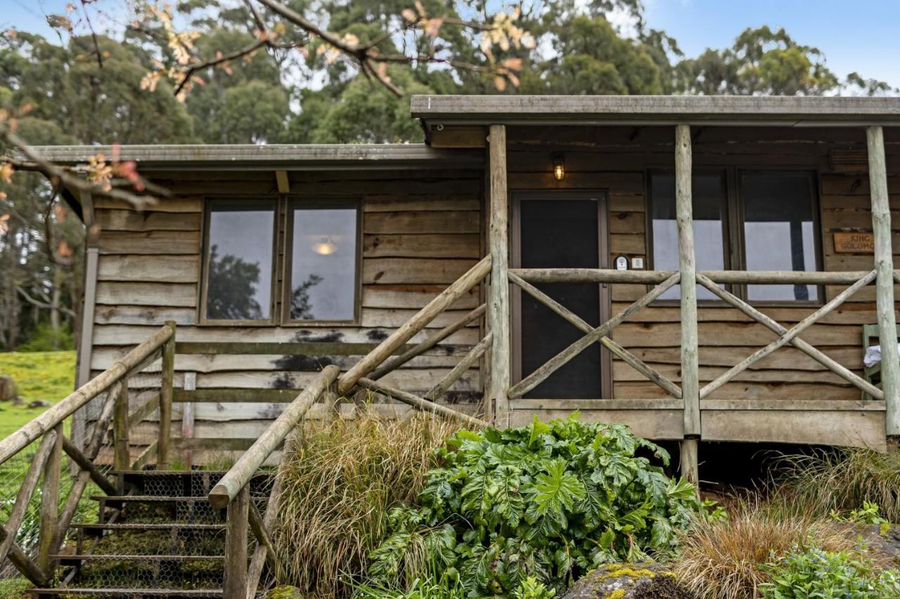 Mole Creek Cabins Dış mekan fotoğraf