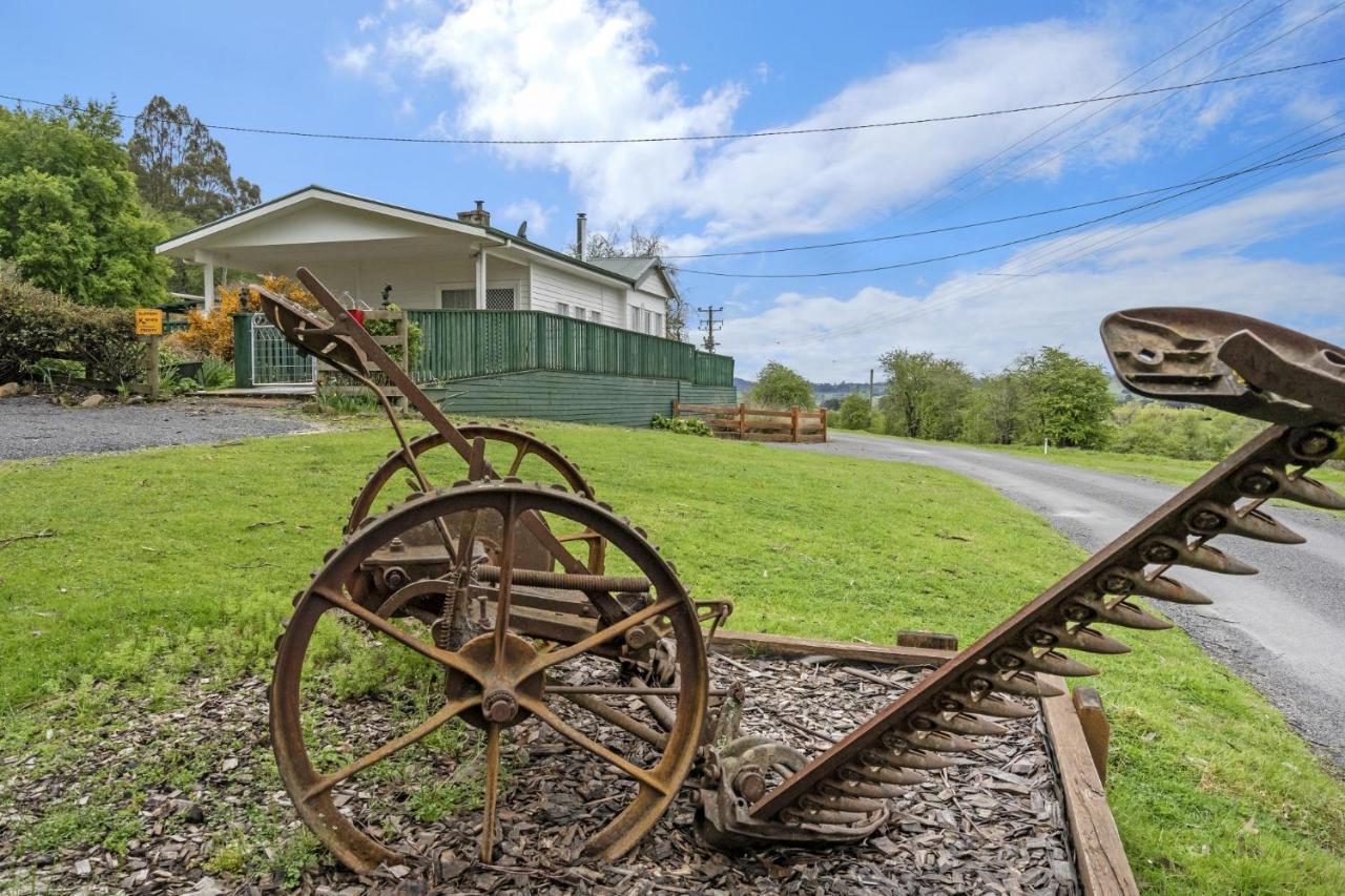 Mole Creek Cabins Dış mekan fotoğraf