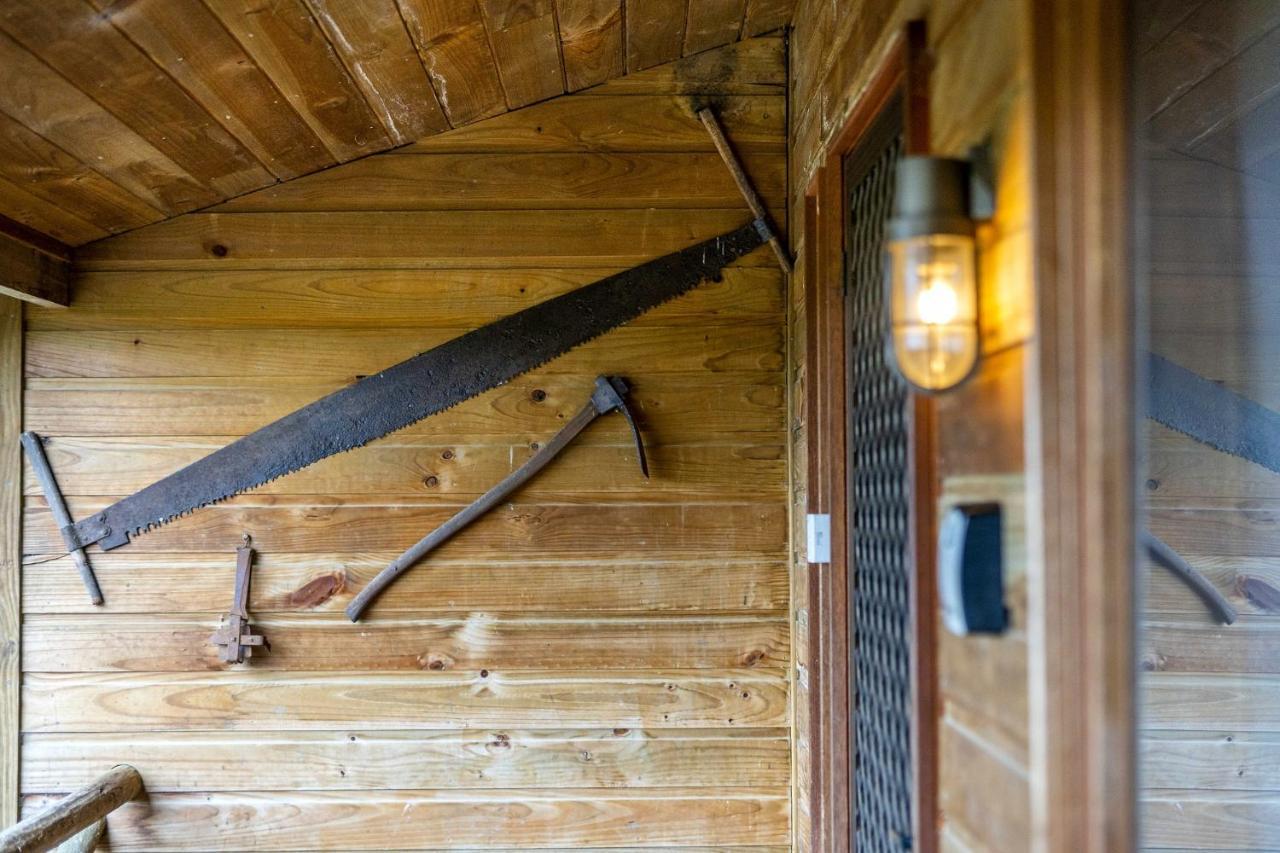 Mole Creek Cabins Dış mekan fotoğraf