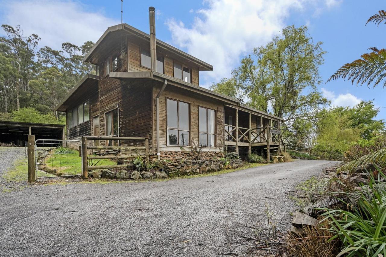 Mole Creek Cabins Dış mekan fotoğraf