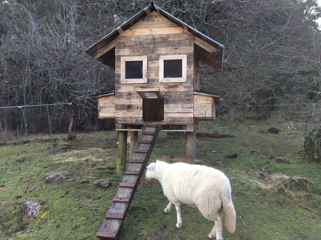 Mole Creek Cabins Dış mekan fotoğraf